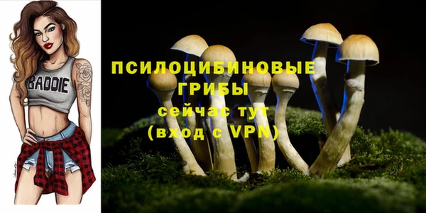 кристаллы Алексин