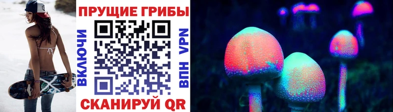 Галлюциногенные грибы Psilocybe  Болгар 